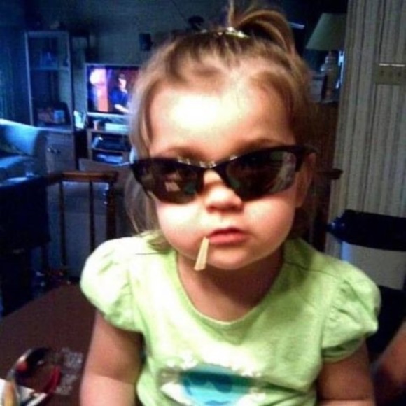 Meet your Posher, Reece - Picture 1 of 1